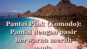 Pantai Pink Indonesia: Fenomena Alam yang Mendunia