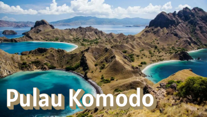 Komodo dan Taman Nasionalnya: Warisan Dunia dari Indonesia