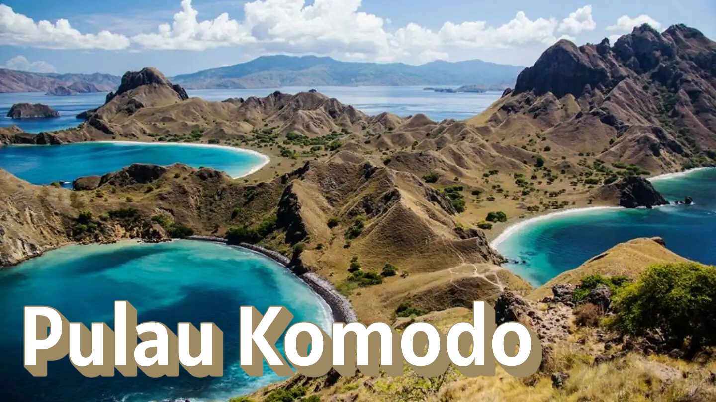 Komodo dan Taman Nasionalnya: Warisan Dunia dari Indonesia