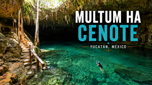 Multum Ha Cenote, Permata Tersembunyi di Meksiko yang Wajib Masuk Daftar Liburan