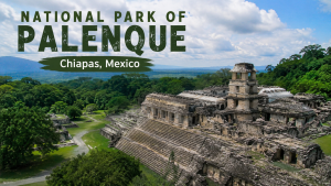 Wisata National Park of Palenque di Meksiko, Surga Arkeologi dan Hutan Tropis yang Menawan