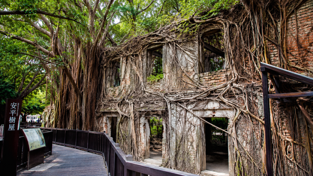 Anping Tree House Taiwan: Perpaduan Sejarah Kolonial dan Keajaiban Alam