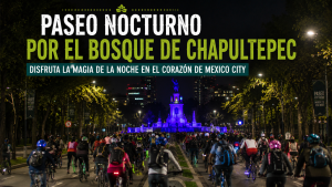 Bosque de Chapultepec di Malam Hari, Destinasi Unik yang Menghidupkan Kota Meksiko