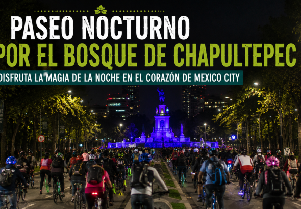 Bosque de Chapultepec di Malam Hari, Destinasi Unik yang Menghidupkan Kota Meksiko