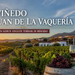 Viñedo San Juan De La Vaquería: Perpaduan Alam, Tradisi, dan Cita Rasa Anggur Berkualitas