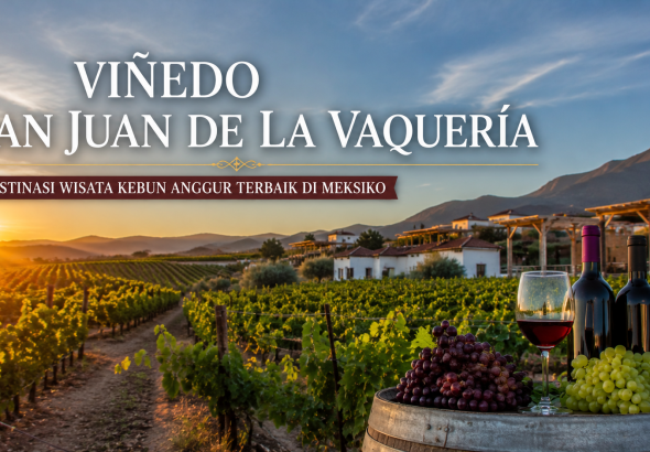 Viñedo San Juan De La Vaquería: Perpaduan Alam, Tradisi, dan Cita Rasa Anggur Berkualitas